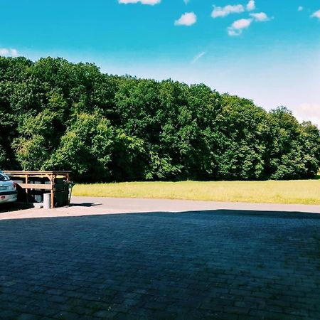 Apartamento 76 qm Whg im EG Haus-Wohlfühloase vor der Haustür Gladenbach Exterior foto