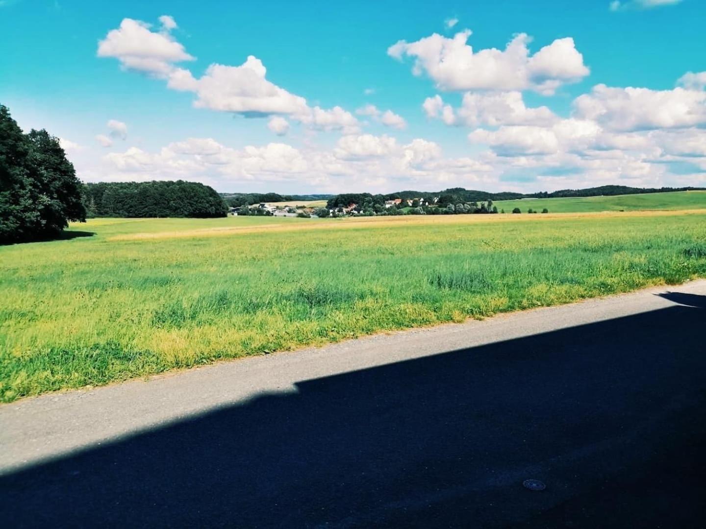 Apartamento 76 qm Whg im EG Haus-Wohlfühloase vor der Haustür Gladenbach Exterior foto